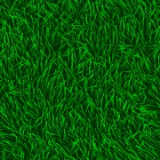 grass.gif